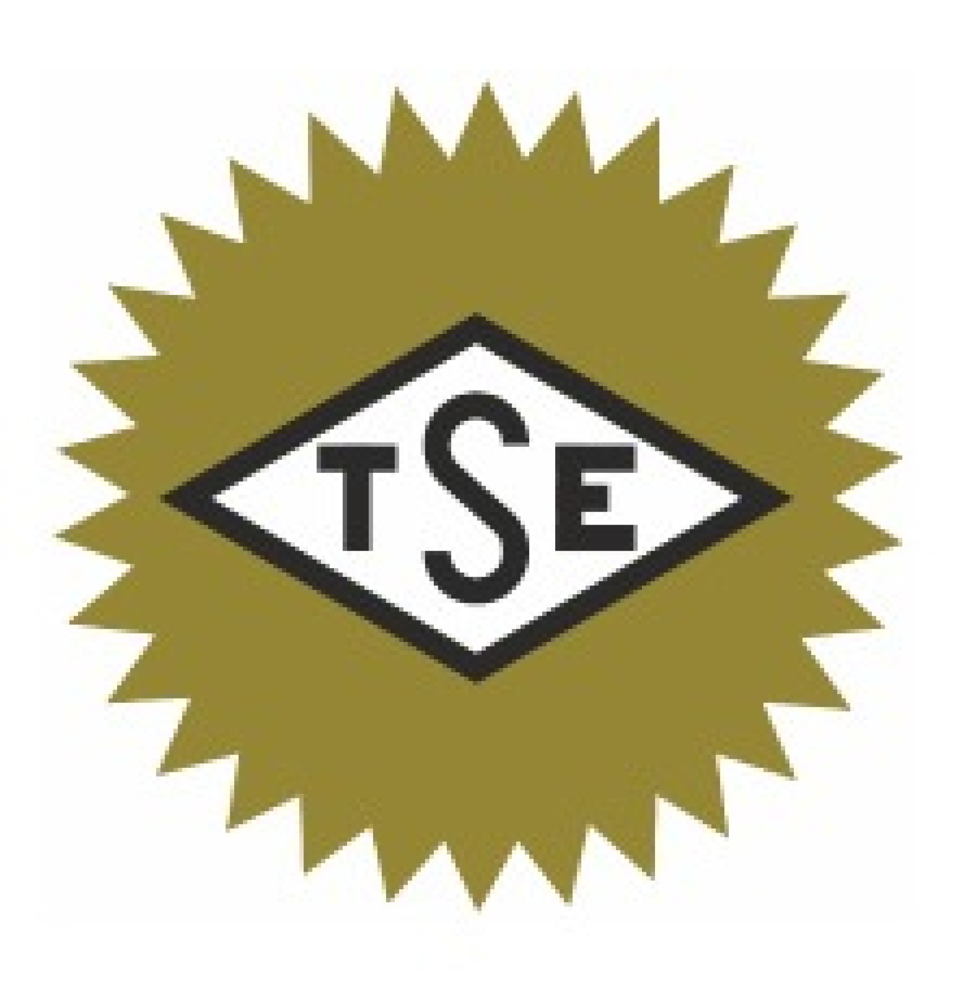 TS EN ISO 8528-4