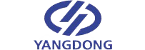 Yang Dong